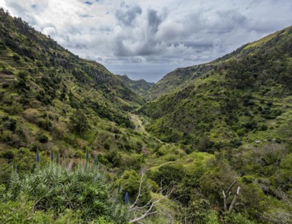 View in gorge