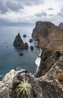 Coastal landscape