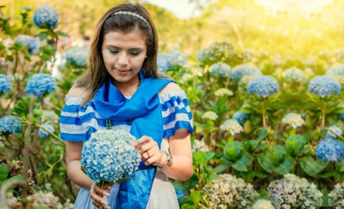 Nicaraguan girl in traditional folk costume holding flowers in a nursery. Beautiful Nicaraguan woman in national folk costume holding flowers in a nursery. Nicaraguan folk costume