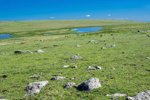 Highland lake in green natural background in Artvin province of Turkey