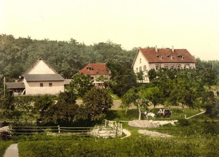 The Claushof