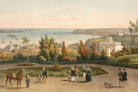 The Narrows and Part of Staten Island