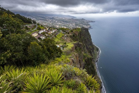 View of the cliffs from the viewing platform