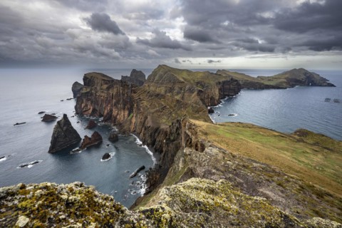 Coastal landscape