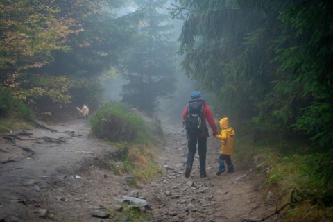 Mum and her little son go on a mountain trail in wet autumn weather. They are accompanied by a dog. Polish mountains