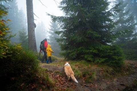 Mum and her little son go on a mountain trail in wet autumn weather. They are accompanied by a dog. Polish mountains