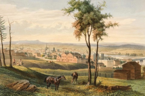 Troy
