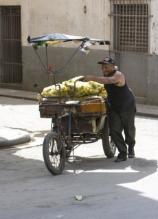 Old colorful horse and donkey carts in the streets of Havana