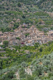 View of typical houses of the mountain village Fornalutx with mountain landscape