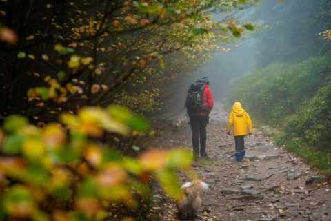 Mum and her little son go on a mountain trail in wet autumn weather. They are accompanied by a dog. Polish mountains