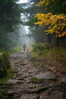 Mum and her little son go on a mountain trail in wet autumn weather. They are accompanied by a dog. Polish mountains