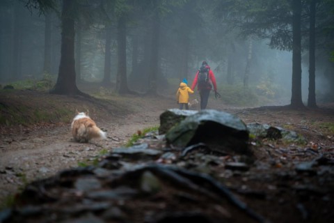 Mum and her little son go on a mountain trail in wet autumn weather. They are accompanied by a dog. Polish mountains