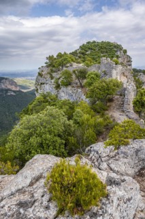 Castell d Alaro Castle