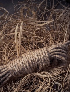 Bundle of linen rope in a straw background