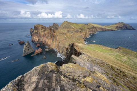 Coastal landscape