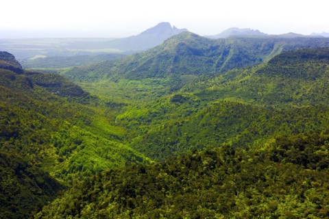 View of Black River Gorges National Park