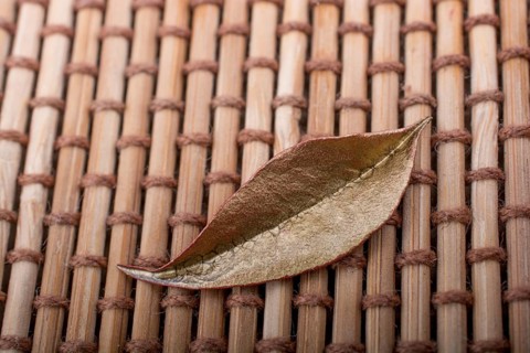 Dry leaf on brown straw carpet background