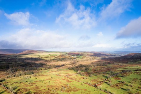 View over Emsworthy Mire from a drone