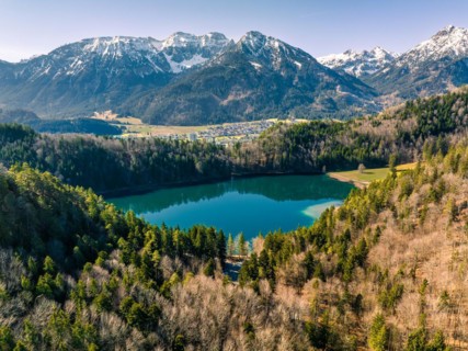 Lake in the forest with mountain panorama