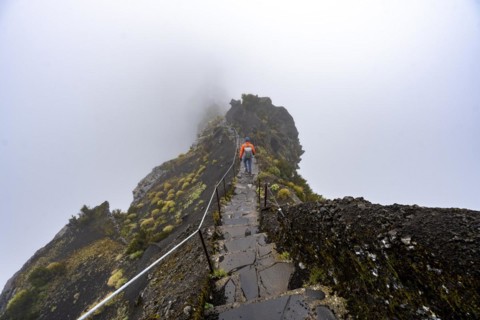 Hikers in the mist
