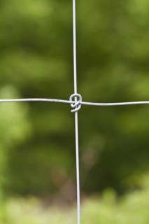 Wire fence