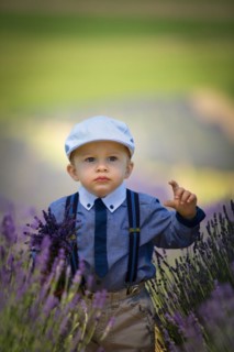 Beautiful little boy on a sunny day in a lavender field. Poland