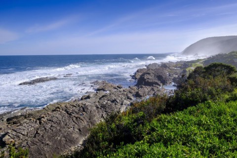 Wild coast with salt spray