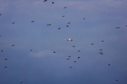 Aircraft on approach