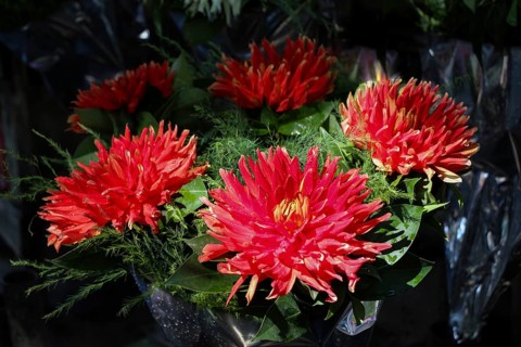 Beautiful bouquet of flowers on street flower vendor