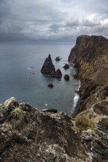 Coastal landscape