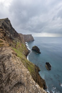 Coastal landscape
