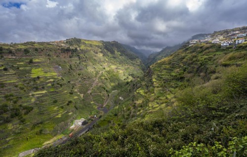View in ravine