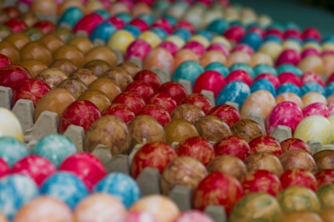 Colourful painted chicken eggs as Easter decoration