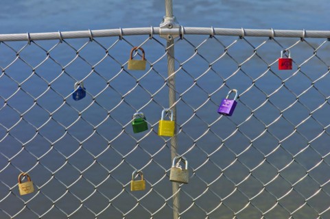 Loyalty locks on a Machendraht fence