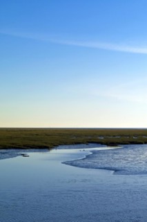 Wadden Sea with salt marsh and tideway