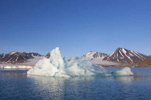 Ice floe calved from the Lilliehoeoekbreen glacier drifting in the Lilliehoeoekfjorden