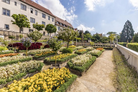 Pomeranzengarten and Leonberg Castle in Summer