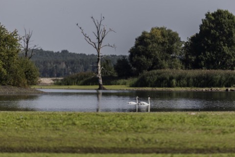 Low water level in the polder