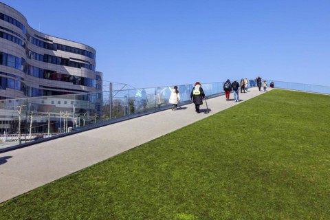 Walk-on roof of the triangular pavilion