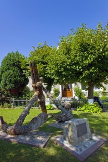 Stick anchor from the 16th century