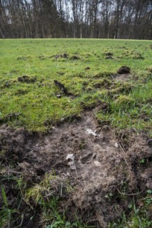 Footprint in ruined grassland