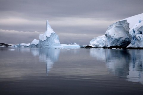 Icebergs in the Lemaire Channel