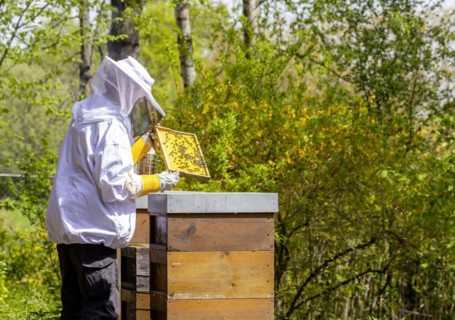 Beekeeper with smoker