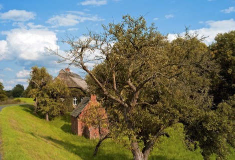 Farmhouse with apple tree and bread baking house in Werderland