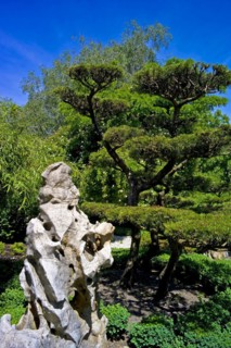 In the Ellerhoop arboretum