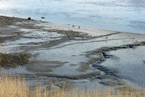 Low water on the river Lesum