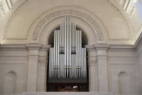 Organ