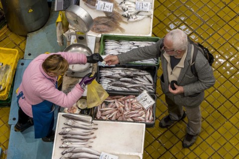 Birds eye colour photo of a stall full of different fish