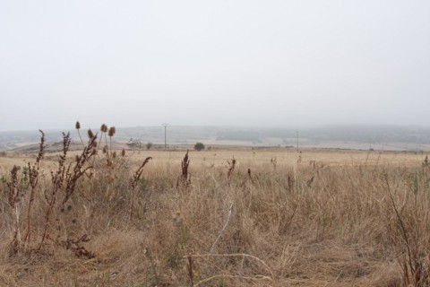 Misty landscape in the morning