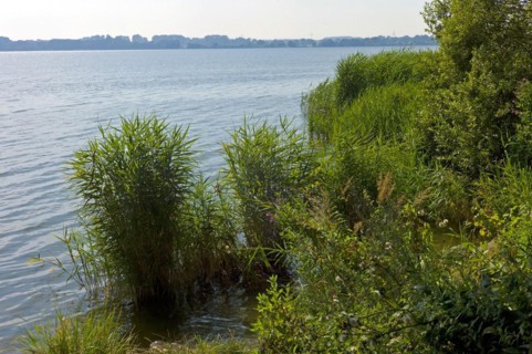 The lake Windebyer Noor
